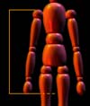 Armlänge+Hand